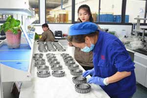 inspection of appearance SYZ Rod Ends inspection of appearance
